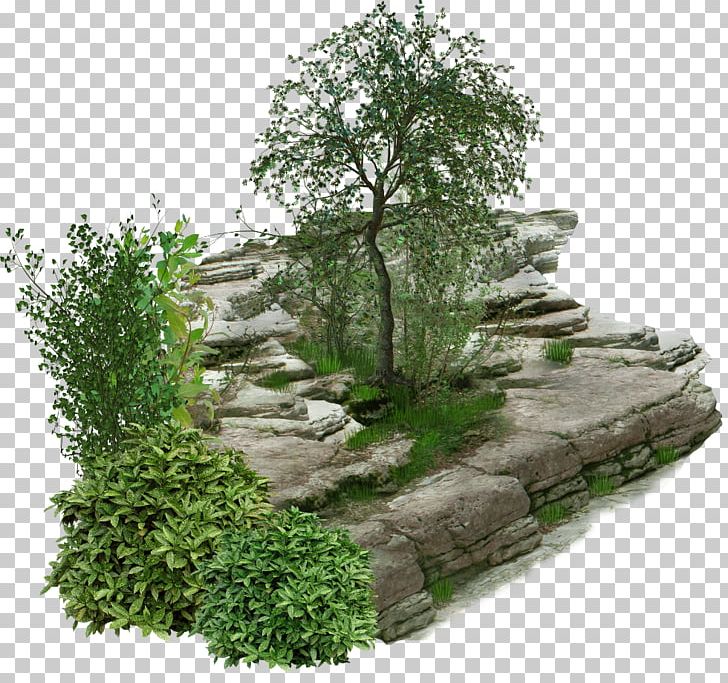 Landscape Landscaping Designer PNG, Clipart, Art, China, Designer, Evergreen, Garden Free PNG Download