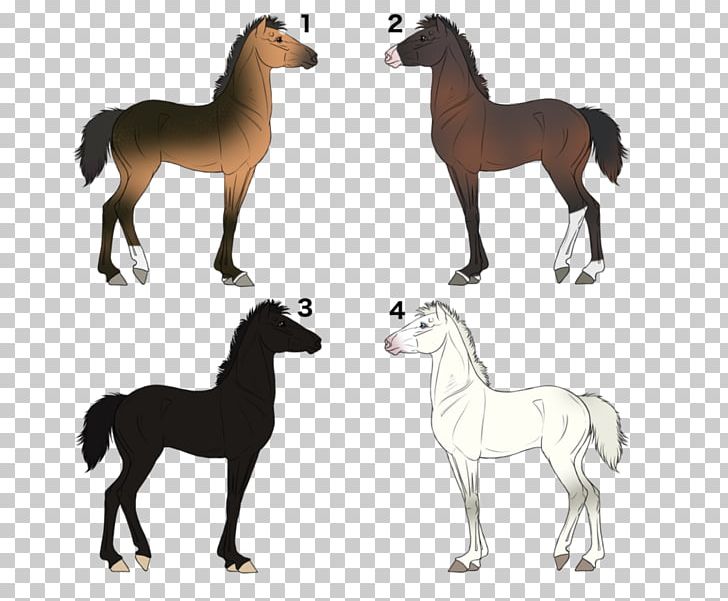 Mustang Foal Mare Stallion Colt PNG, Clipart, Animal, Animal Figure, Cloud, Colt, Drawing Free PNG Download