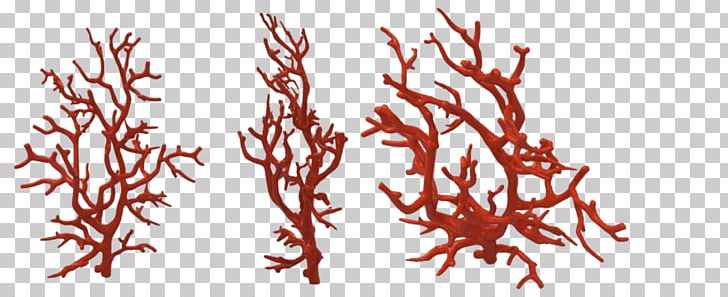 Red Coral Coral Reef Alcyonacea PNG, Clipart, Alcyonacea, Aquarium Decor, Art, Branch, Coral Free PNG Download