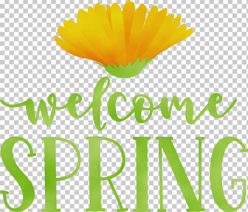 Flower Cut Flowers Petal Pot Marigold Logo PNG, Clipart, Calendula, Cut Flowers, Flower, Happiness, Line Free PNG Download