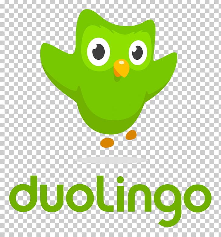 Duolingo Learning Mobile App Foreign Language PNG, Clipart, Area, Artwork, Beak, Bird, Brand Free PNG Download