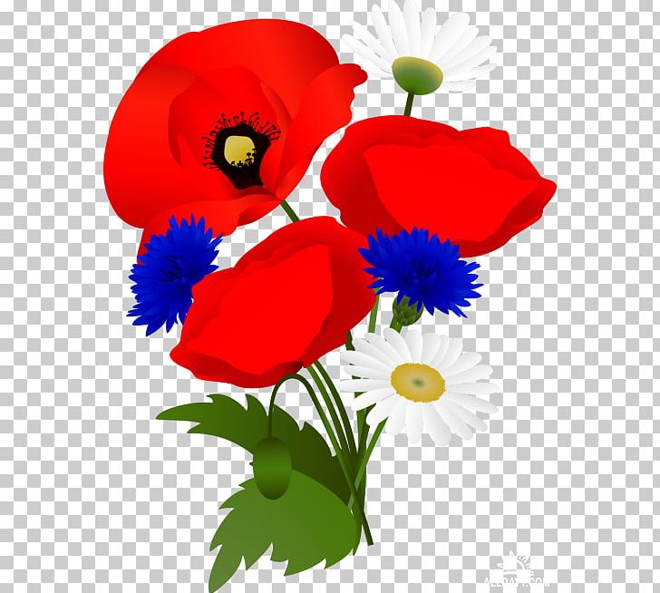 Poppy PNG, Clipart, Anemone, Annual Plant, Botany, Common Poppy, Cut Flowers Free PNG Download