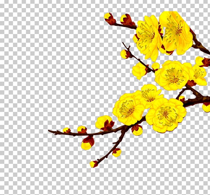 Plum Blossom Gold PNG, Clipart, Branch, Download, Flower, Flowering Plant, Fruit Free PNG Download