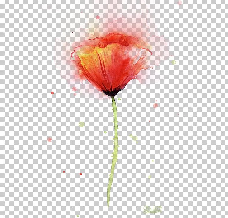 Poppy Art Watercolor Painting Paper PNG, Clipart, Abstract, Art, Artist, Common Poppy, Computer Wallpaper Free PNG Download