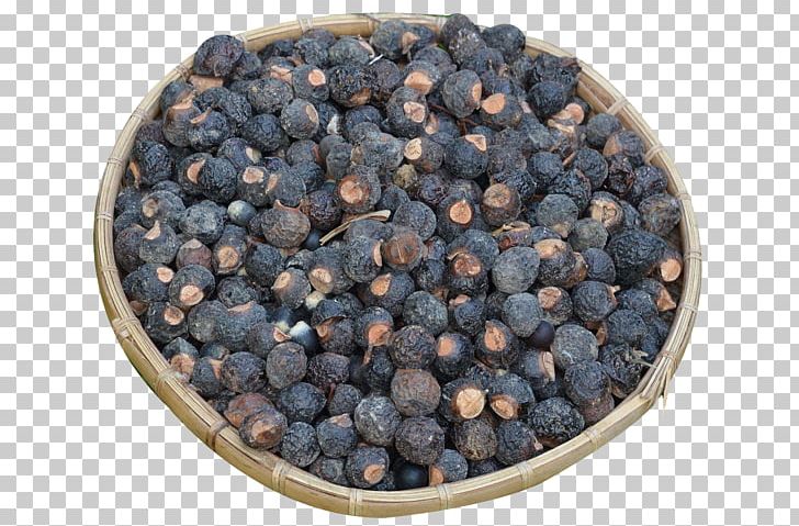 Sapindus Saponaria Seed Fallopia Japonica Tree Blueberry PNG, Clipart, Arbre Dalignement, Auglis, Bamboo Baskets, Bamboo Tree, Basket Free PNG Download