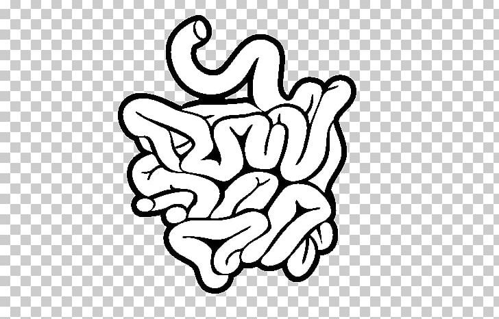 Intestine, small bowel and large colon vector anatomical illustration in  doodle sketch style. Digestive system and internal organs of human 4836225  Vector Art at Vecteezy