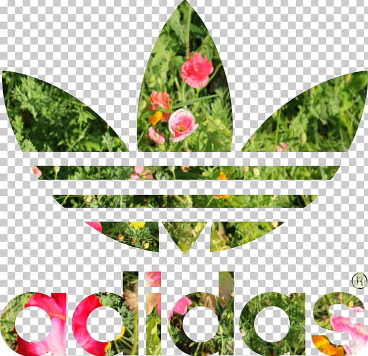 T-shirt Adidas Stan Smith Hoodie Adidas Originals PNG, Clipart, Adidas, Adidas Originals, Adidas Stan Smith, Clothing, Flora Free PNG Download