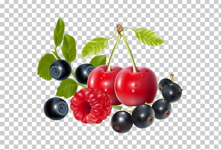 Blueberry PNG, Clipart, Berry, Bilberry, Blackberry, Blackcurrant, Blueberry Free PNG Download