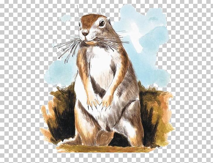 Chipmunk Mole Watercolor Painting Illustration PNG, Clipart, Animal, Animals, Cartoon, Cartoon Squirrel, Drawing Free PNG Download