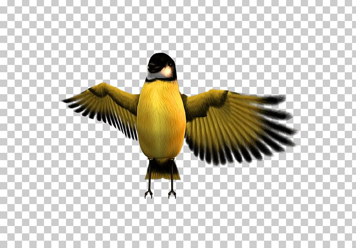 Computer Icons Cuteness Hello Kitty Beak PNG, Clipart, Animal, Atmosphere, Beak, Bird, Cartoon Free PNG Download