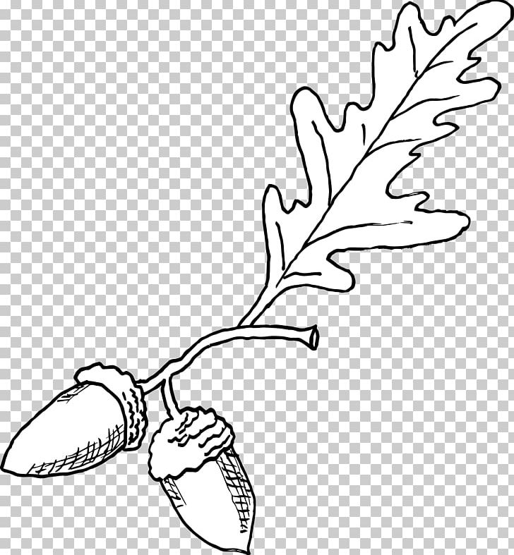 Line Art Plant Stem Cartoon PNG, Clipart, Area, Arm, Art, Artwork, Beak Free PNG Download