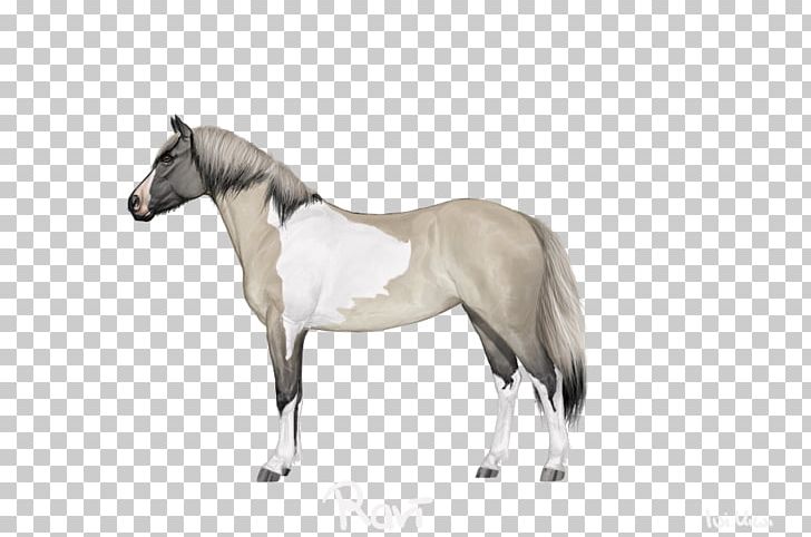 Mane Mustang Stallion Mare Foal PNG, Clipart, Bridle, Colt, Dog Harness, Foal, Halter Free PNG Download