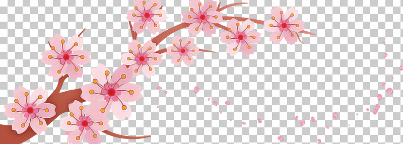 Cherry Blossom PNG, Clipart, Blossom, Cherry Blossom, Chicken, Chicken Egg, Egg Free PNG Download