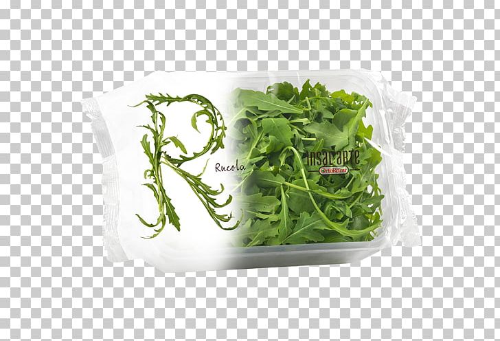 Arugula Salad Vegetable Fruit Spinach PNG, Clipart, Arugula, Butterhead Lettuce, Dieline, Food, Fruit Free PNG Download