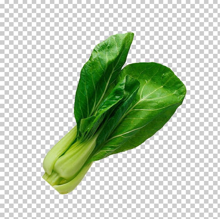 Bok Choy Chinese Cabbage Vegetarian Cuisine Vegetable Soup PNG, Clipart, Basil, Bok Choy, Cabbage, Cabbage Cartoon, Cabbage Leaves Free PNG Download