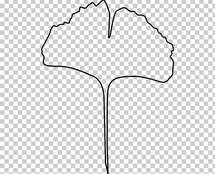 Ginkgo Biloba Leaf Line Art PNG, Clipart, Angle, Area, Art, Baiera, Black Free PNG Download