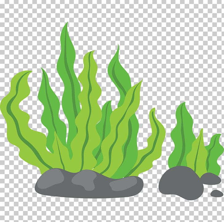 Seaweed PNG, Clipart, Aquatic Animal, Aquatic Plant, Art, Background, Background Green Free PNG Download