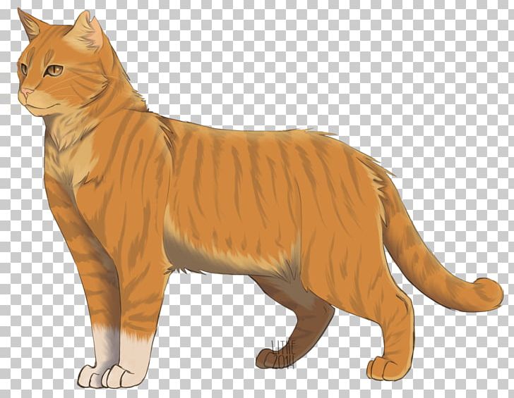 Warriors Thunderstar The Sun Trail Erin Hunter Leafpool PNG, Clipart, Big Cats, Carnivoran, Cat, Cat Like Mammal, Cinderheart Free PNG Download