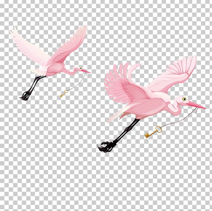 Water Bird Cygnini Wing PNG, Clipart, Adobe Illustrator, Animal, Animals, Bea, Bird Free PNG Download
