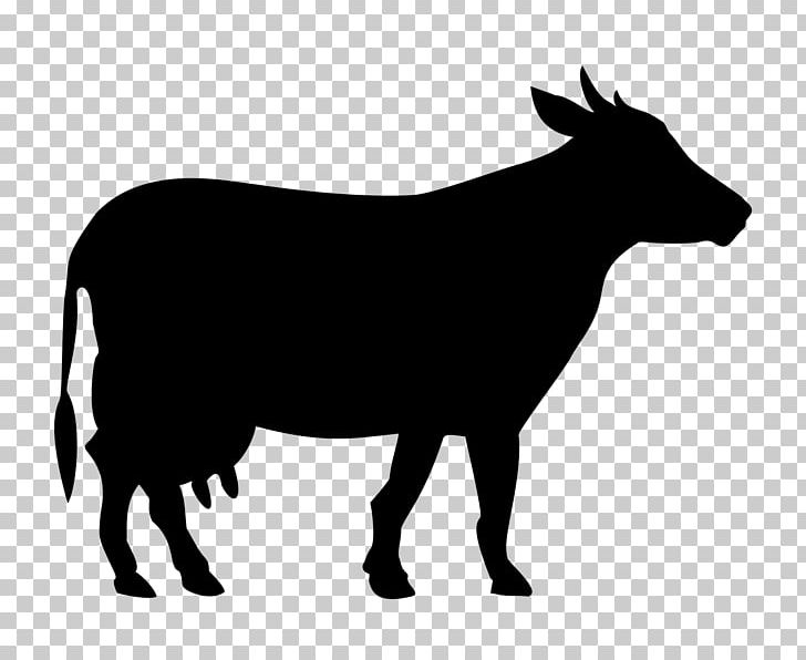 Welsh Black Cattle White Park Cattle Holstein Friesian Cattle Beef Cattle Taurine Cattle PNG, Clipart, Black And White, Cattle, Cattle Like Mammal, Cow, Cow Goat Family Free PNG Download