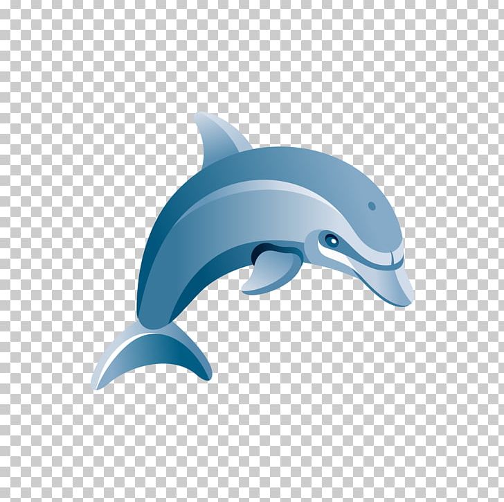 Common Bottlenose Dolphin Tucuxi Blue Illustration PNG, Clipart, Animal, Animals, Animation, Blue, Blue Abstract Free PNG Download