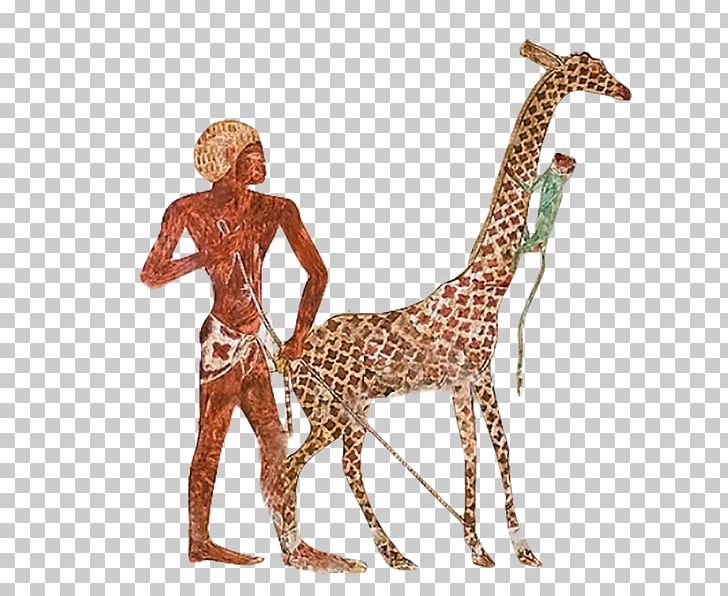 Giraffe Ancient Egypt Nekhen Zoo Egyptian PNG, Clipart, Ancient Egypt, Ancient History, Animal, Animal Figure, Animals Free PNG Download