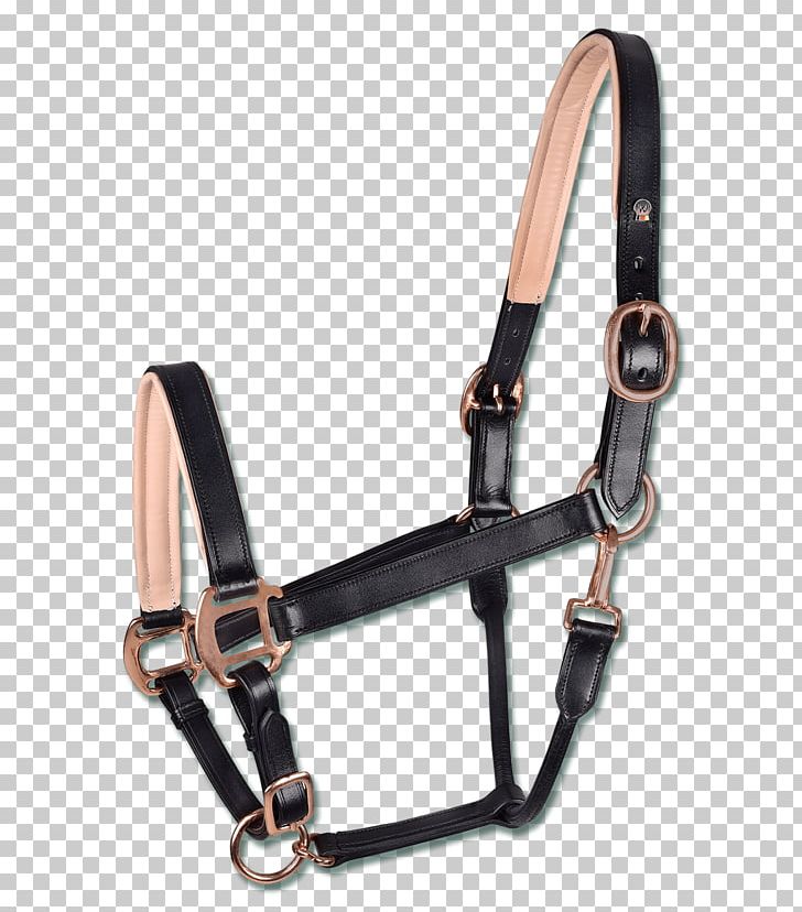 Horse Tack Halter Gold Bridle PNG, Clipart, Animals, Bit, Bridle, Equestrian, Gold Free PNG Download