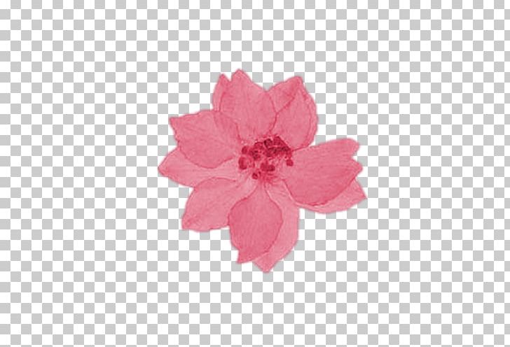 Petal Cut Flowers Pink M Larkspur PNG, Clipart, As Is, Cut Flowers, Flower, Flowers, Larkspur Free PNG Download