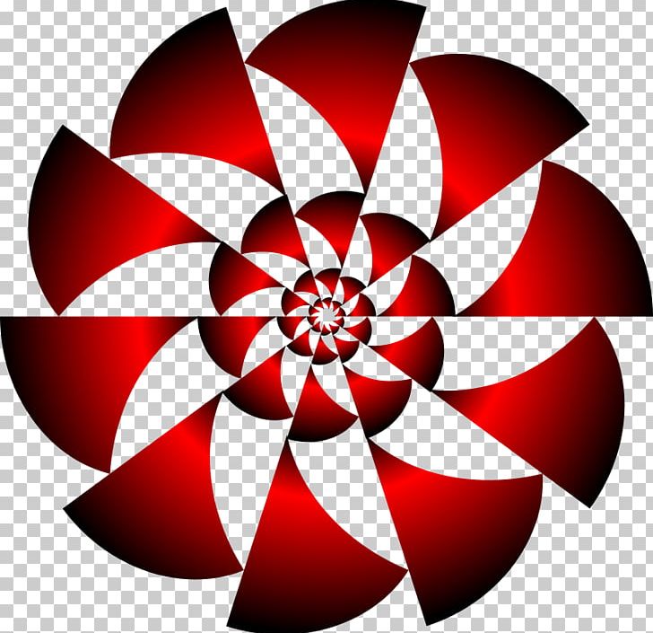 Rotational Symmetry Reflection Symmetry Mathematics PNG, Clipart, Circle, Flora, Floral Symmetry, Flower, Flowering Plant Free PNG Download