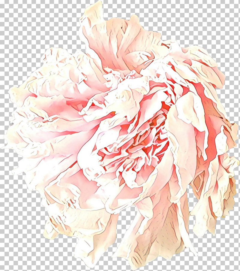 Pink Flower Cut Flowers Peony Plant PNG, Clipart, Chinese Peony, Cut Flowers, Flower, Peach, Peony Free PNG Download