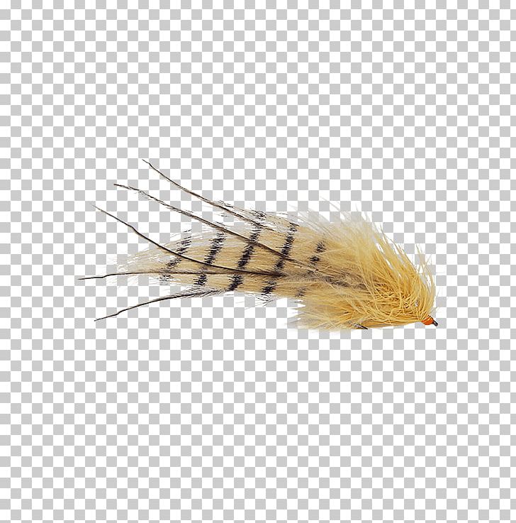Magazine Holly Flies Fly Fishing Feather Issuu PNG, Clipart, Artificial Fly, Cancer, Chartreuse, Email, Feather Free PNG Download