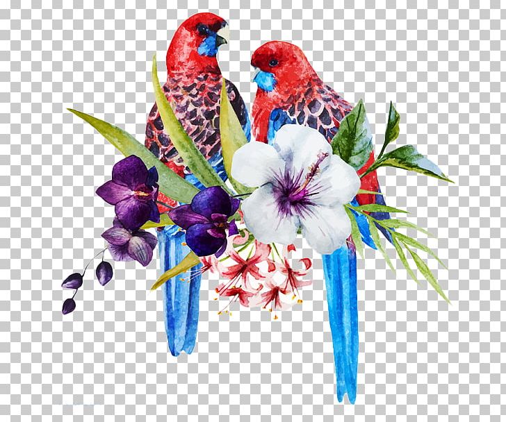 Bird Parrot Eastern Rosella Illustration PNG, Clipart, Animals, Colored, Colored Birds, Common Pet Parakeet, Cut Flowers Free PNG Download