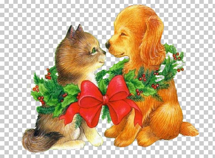 Dog Breed Pomeranian Cat Puppy Companion Dog PNG, Clipart, Animal, Animals, Blog, Breed, Carnivoran Free PNG Download