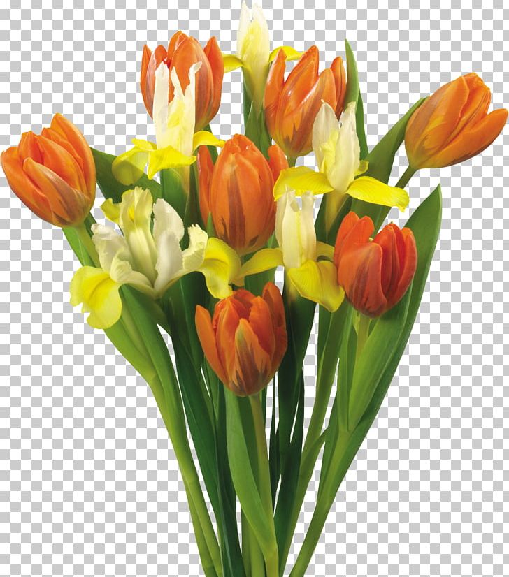Flower Bouquet Tulip Garden Roses PNG, Clipart, Artificial Flower, Bud, Crocus, Cut Flowers, Desktop Wallpaper Free PNG Download