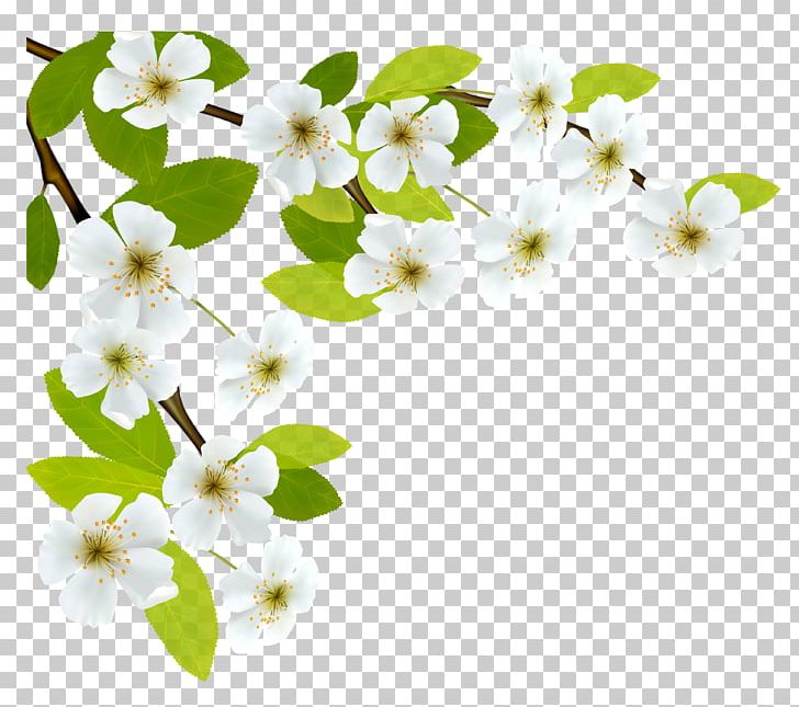 Morning PNG, Clipart, Blossom, Branch, Cherry Blossom, Computer Icons, Desktop Wallpaper Free PNG Download