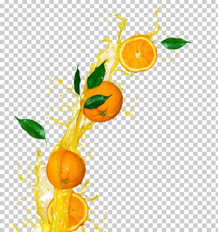 Orange Juice Juicer Fruit PNG, Clipart, Citrus, Effect, Fizzy Drinks, Food, Fruit Nut Free PNG Download