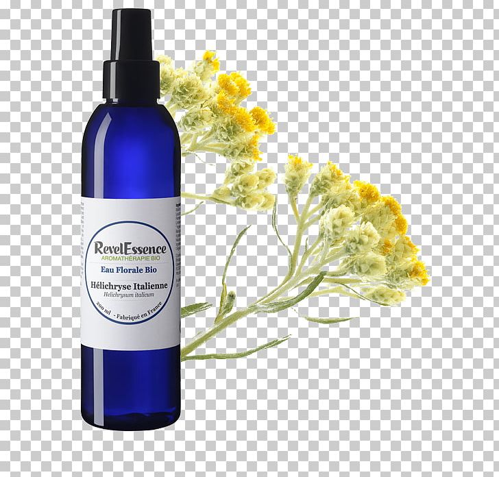 Herbal Distillate Lotion Curry Plant Aromatherapy Witch-hazel PNG, Clipart,  Free PNG Download