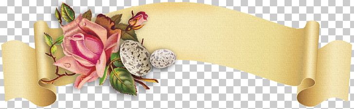 Paper Scroll PNG, Clipart, Digital Image, Easter, Floral Design, Flower, Information Free PNG Download