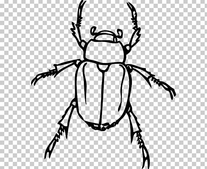 Beetle PNG, Clipart, Artwork, Beetle, Beetle Cliparts, Black And White, Blog Free PNG Download