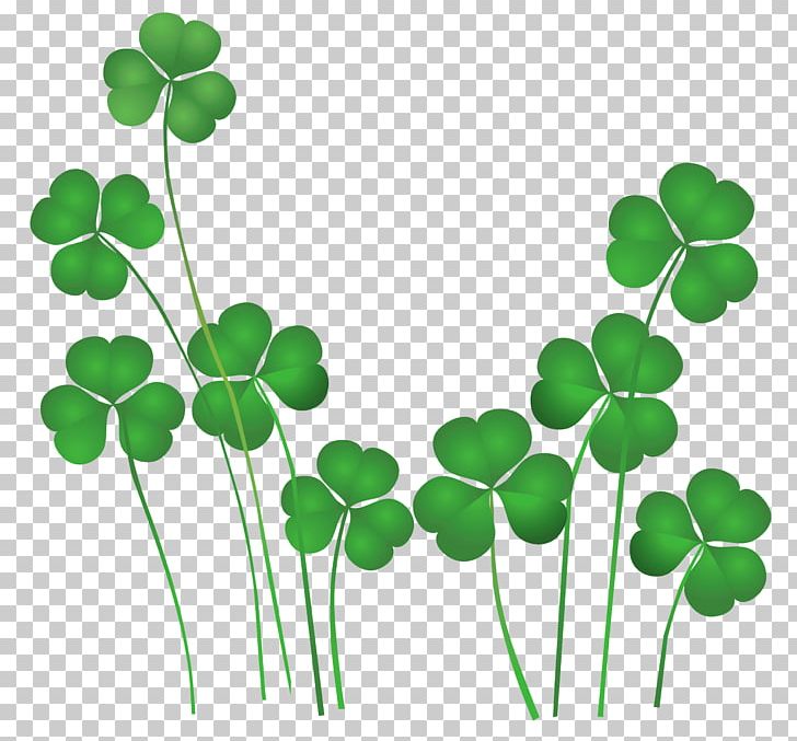 Saint Patrick's Day Shamrock Leprechaun Irish People PNG, Clipart, Calendar Of Saints, Flowering Plant, Graphics, Grass, Green Free PNG Download
