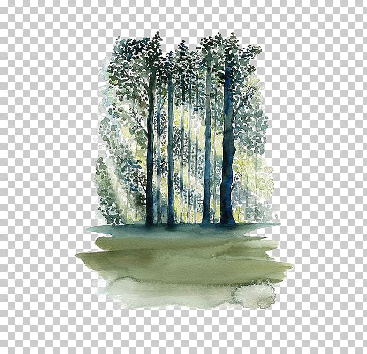 Watercolor Painting Paper Tree Forest PNG, Clipart, Art, Black Forest, Color, Forest Animal, Forest Animals Free PNG Download