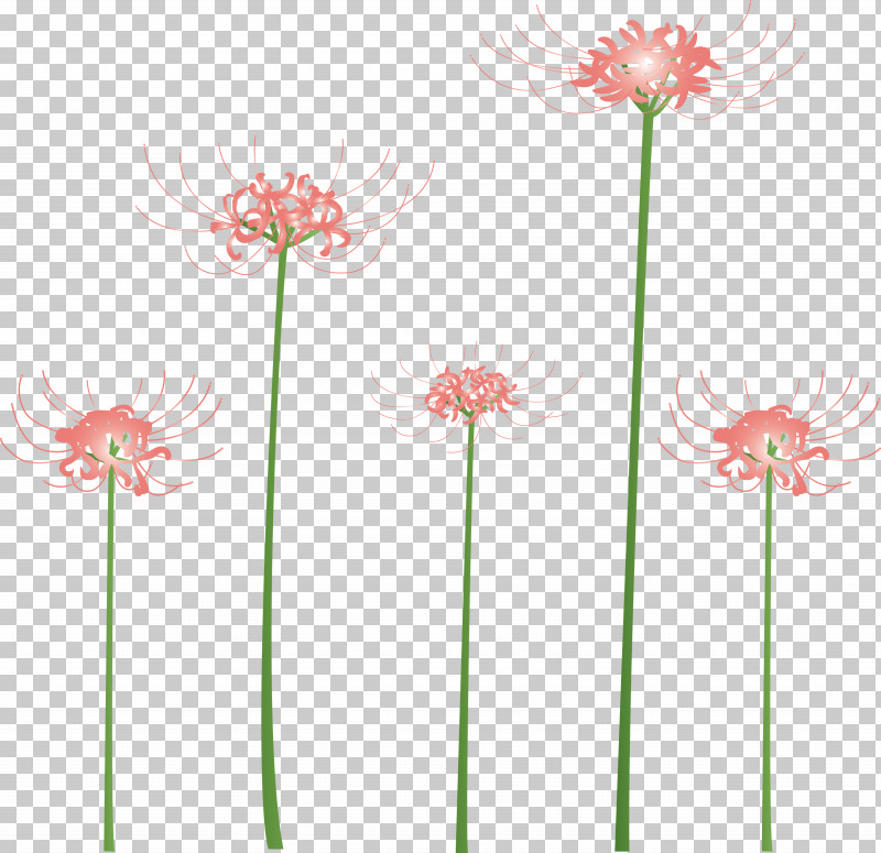 Hurricane Lily Flower PNG, Clipart, Cut Flowers, Flower, Gerbera, Hurricane Lily, Pedicel Free PNG Download