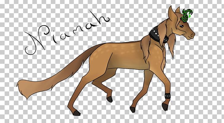 Dog Mustang Mammal Pack Animal Macropodidae PNG, Clipart, Animals, Canidae, Carnivoran, Cartoon, Deer Free PNG Download