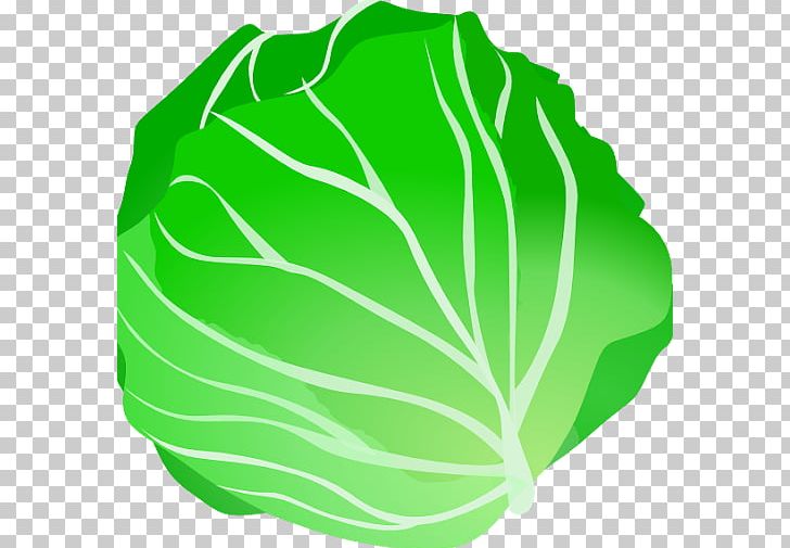 Leaf Vegetable Cabbage Fruit PNG, Clipart, Cabbage, Collard Greens, Food, Food Drinks, Frozen Vegetables Free PNG Download