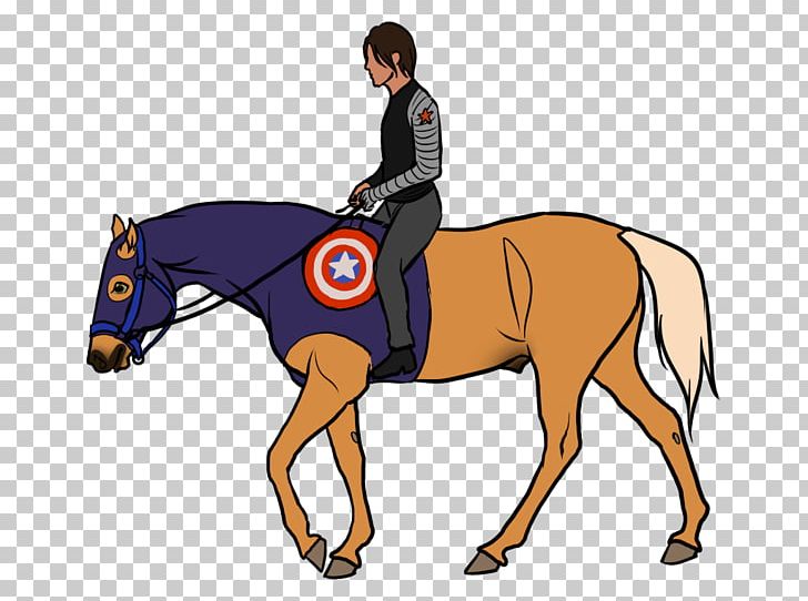 Mane Hunt Seat Stallion Pony Halter PNG, Clipart, Colt, English Riding, Equestrian, Equestrianism, Equestrian Sport Free PNG Download