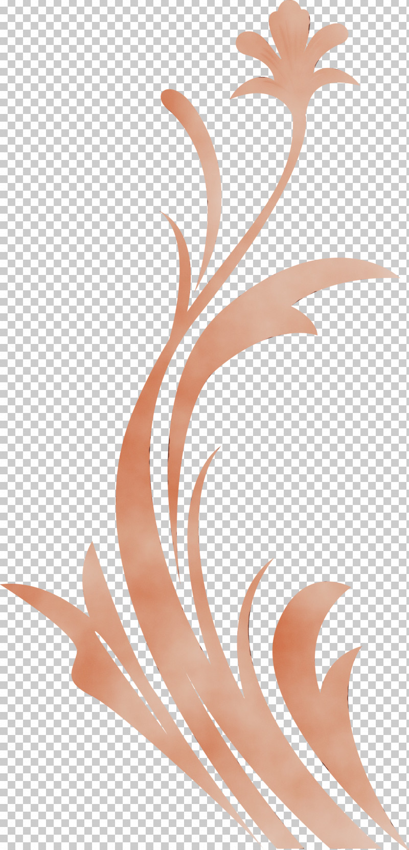 Brown Peach Plant PNG, Clipart, Brown, Decoration Frame, Floral Frame, Flower Frame, Paint Free PNG Download