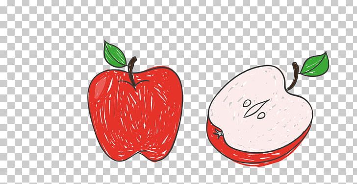 Adobe Illustrator Illustration PNG, Clipart, Apple, Apple Cut, Apple Fruit, Dra, Euclidean Vector Free PNG Download