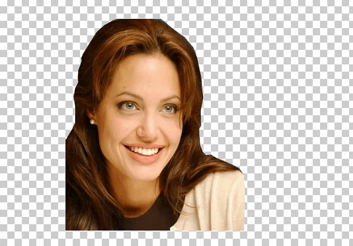 Angelina Jolie Sticker Telegram Portrait PNG, Clipart, Angelina Jolie, Brown Hair, Celebrities, Cheek, Chin Free PNG Download