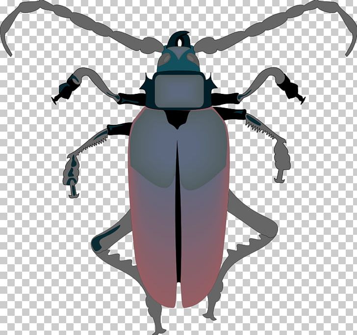 Cockroach PNG, Clipart, Arthropod, Beetle, Cockroach, Computer Icons, Cricket Free PNG Download