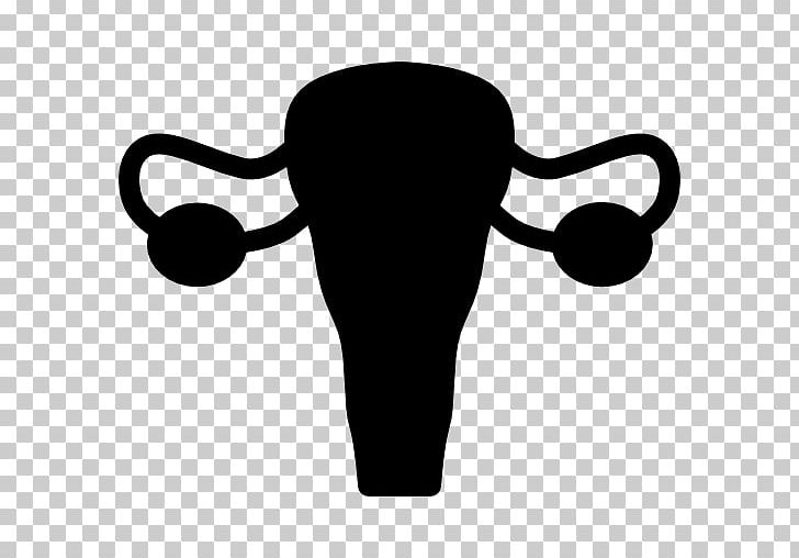 Female Reproductive System Computer Icons Fallopian Tube Uterus Medicine PNG, Clipart,  Free PNG Download